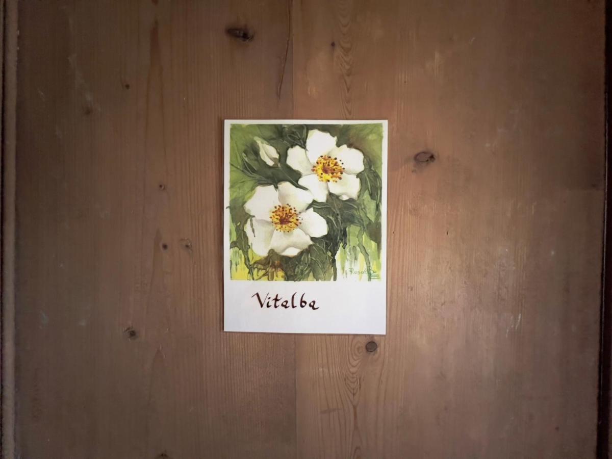 B&B Il Posto Delle Rose Almenno San Salvatore Exteriör bild